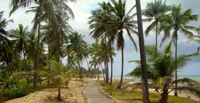 Foto: (FlavioSantiago/iStock)