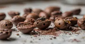 Foto: (Imagem sem texto alternativo disponivel ID [2741297])