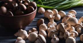 Conheça o alimento que reduz colesterol e glicose em semanas