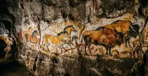 Em 1940, um garoto perseguiu seu cachorro por um buraco em uma árvore e acabou encontrando uma caverna secreta com mais de 600 pinturas humanas datadas de 17.000 anos atrás que ninguém jamais tinha visto antes
