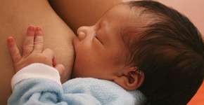 Foto: (Imagem sem texto alternativo disponivel ID [1833801])