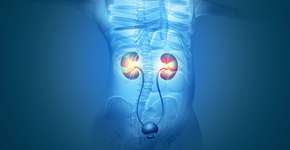 8 sintomas de câncer nos rins para ficar atento