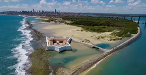 Do caju ao cajueiro: 10 motivos incríveis para explorar Natal