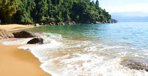 Foto: (dririchetto/iStock)