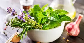 Foto: (Imagem sem texto alternativo disponivel ID [2154640])