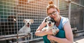 A ração do seu cachorro ou gato está muito cara? Entenda o que rolou