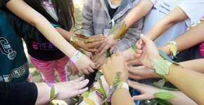 Parque do Pedroso terá programação de férias com oficinas artísticas e atividades ambientais