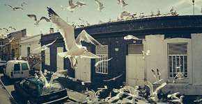 Foto: (Imagem sem texto alternativo disponivel ID [1830056])