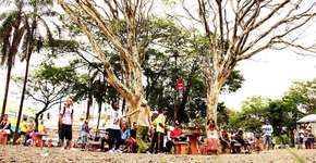 Foto: (Imagem sem texto alternativo disponivel ID [950399])