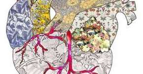 Testes cardíacos poderão ser feitos de casa via webcam