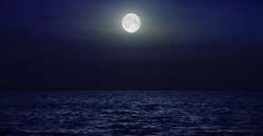 Foto: (Imagem sem texto alternativo disponivel ID [1858062])