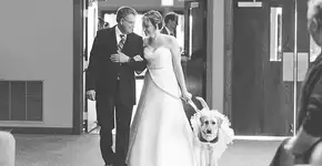 Cadelinha ajuda noiva que sofre de ansiedade a entrar no altar