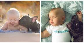 Foto: (Imagem sem texto alternativo disponivel ID [1081067])