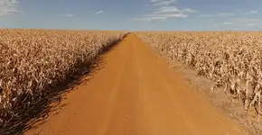 Senar-GO oferece mais de 50 cursos gratuitos e online; confira lista