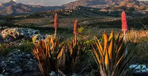 Nos caminhos do norte de Minas Gerais
