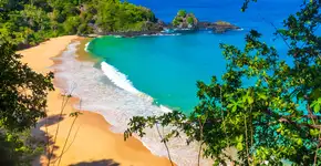 Foto: (iSTock/Reuber Duarte)