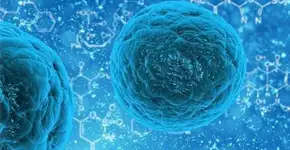 Células-tronco podem curar surdez genética, afirmam cientistas