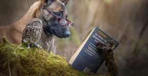 Foto: (Imagem sem texto alternativo disponivel ID [811710])