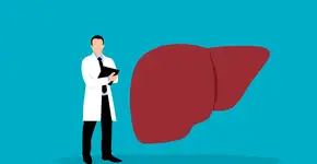 Fígado gordo: quantos copos de água por dia ajudam a melhorar a saúde do órgão?