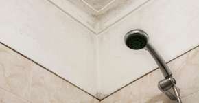 Mofo no banheiro? Saiba como resolver com métodos caseiros e eficientes