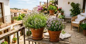 A planta que possui um aroma forte que afasta os mosquitos