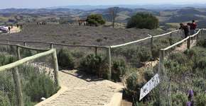 Foto: (Imagem sem texto alternativo disponivel ID [2128643])