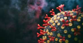 Brasil confirma primeiros casos da variante híbrida Deltacron