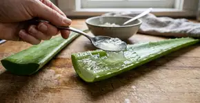 Como preparar um gel facial com aloe vera para revitalizar a pele e manter sua aparência saudável