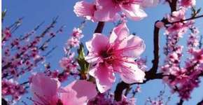 Minicurso de “Criação de jogos com Tapete USB” no Sesc Pompeia