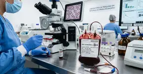 Quem tem esse tipo sanguíneo pode viver mais