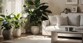 Foto: (Imagem sem texto alternativo disponivel ID [2686629])