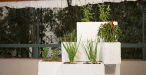 Foto: (Imagem sem texto alternativo disponivel ID [1604475])