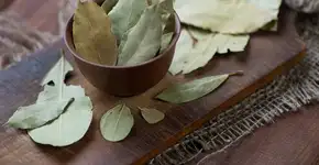 Foto: (Imagem sem texto alternativo disponivel ID [2683680])