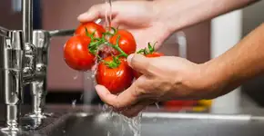 Como lavar os alimentos: dicas de higienização para comidas