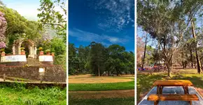Guia Toddynho: 7 lugares perfeitos em SP para você fazer piquenique ao ar livre com seus filhos