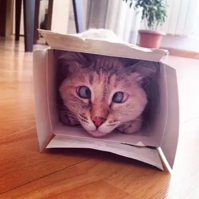 Reprodução / Instagram