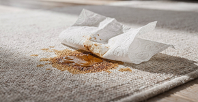 Foto: (Imagem sem texto alternativo disponivel ID [2721719])