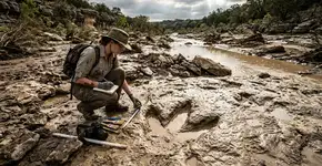 Uma tempestade nos Estados Unidos rompeu a superfície do solo e revelou 15 relíquias que permaneceram ocultas por mais de 100 milhões de anos
