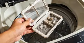 Foto: (Imagem sem texto alternativo disponivel ID [2697762])