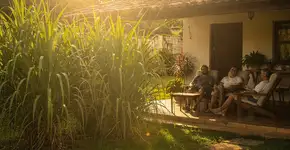 Foto: (Imagem sem texto alternativo disponivel ID [2709692])