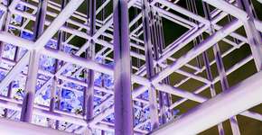 Ética, Arte, Ciência e Filosofia são tema de seminário e exposição na Uerj