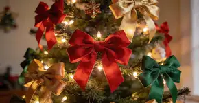 Foto: (Imagem sem texto alternativo disponivel ID [2675070])