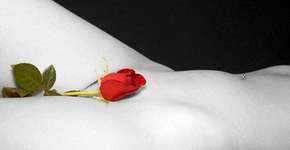 Foto: (Imagem sem texto alternativo disponivel ID [255970])