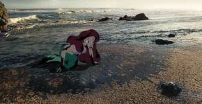 Foto: (Imagem sem texto alternativo disponivel ID [781625])