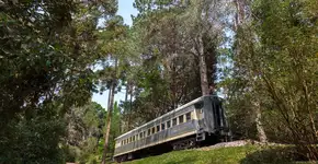 Foto: (Divulgação)