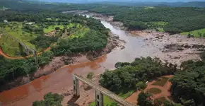 Foto: (Vinicius Mendonça/Ibama)