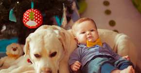 Foto: (Imagem sem texto alternativo disponivel ID [1609228])