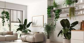 Foto: (Imagem sem texto alternativo disponivel ID [2602100])