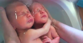 Gêmeos que nasceram, mas ainda não perceberam