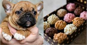 Sem estágio? 5 jeitinhos de ganhar dinheiro durante a faculdade